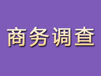 莱山商务调查